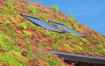 Burry living roof systems