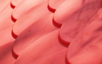 Burry plastic roof costs