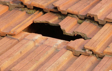 roof repair Burry, Swansea